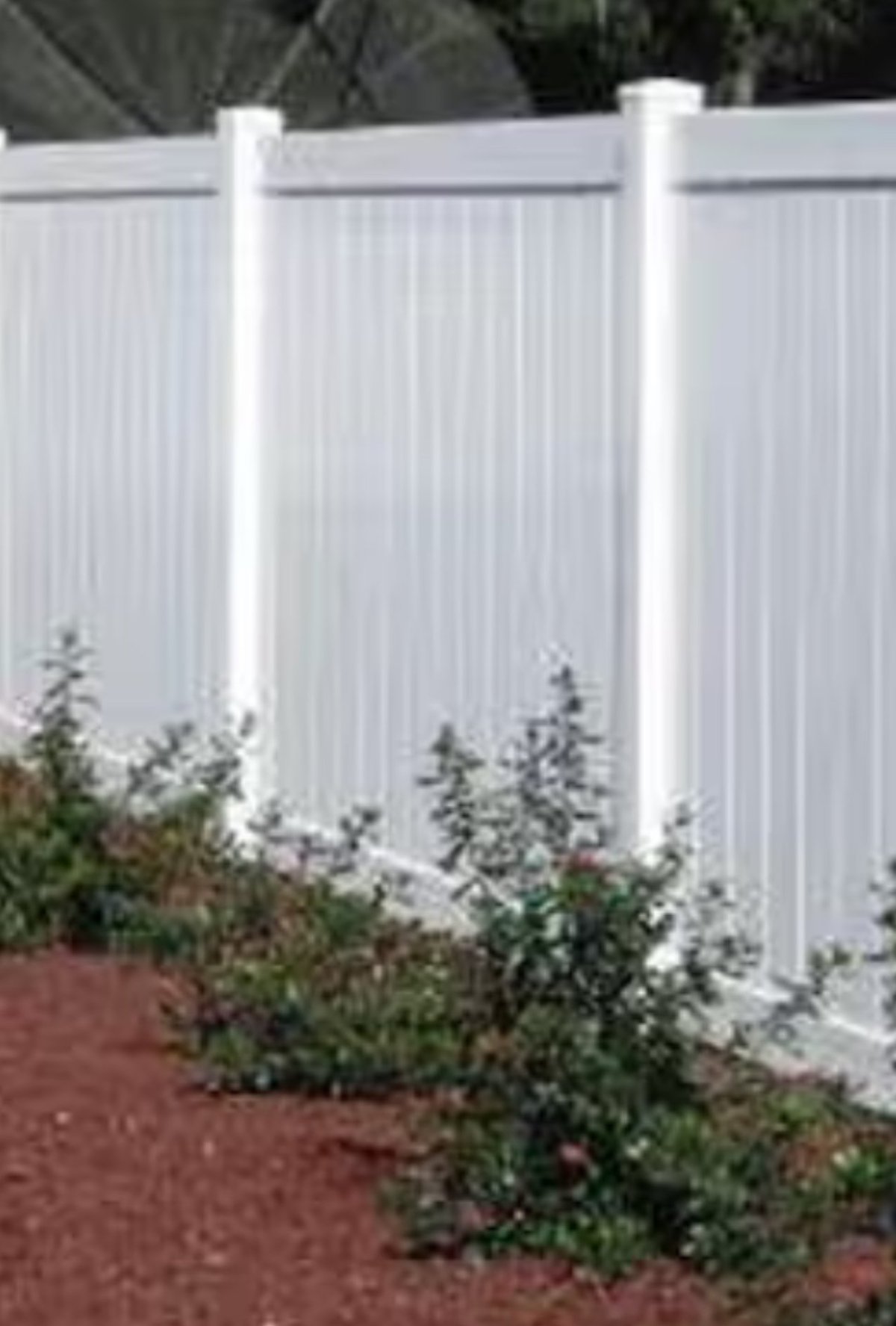White vinyl privacy fence with vertical panels backed by evergreen trees in Brookshire TX